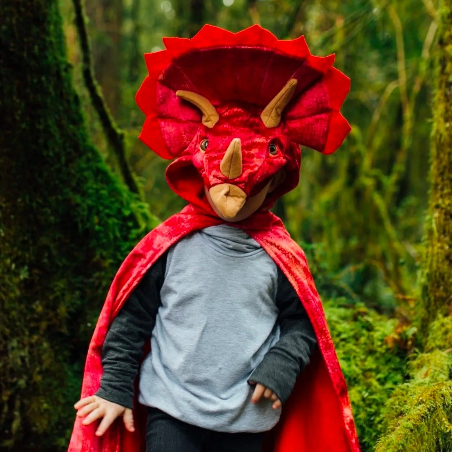 Cape tricératops rouge