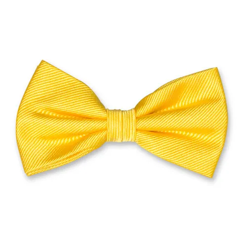 Noeuds papillon / Nœud papillon homme jaune canari