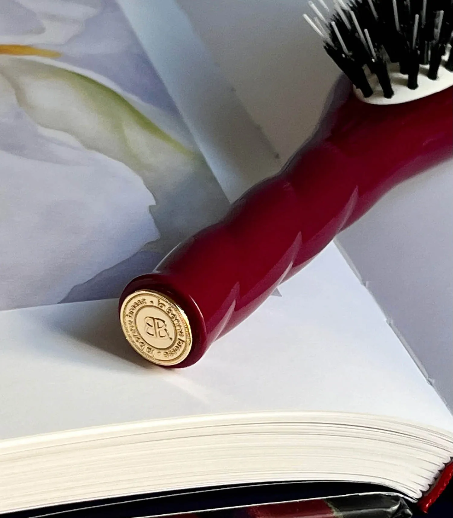 Petite Brosse N.02 L’indispensable Rouge Cerise La Bonne Brosse - Jane de Boy